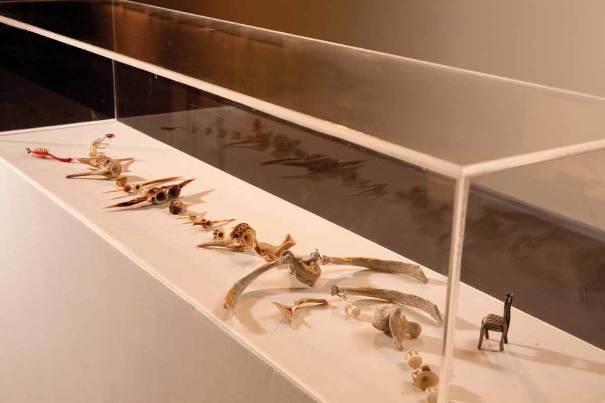Collective Spine