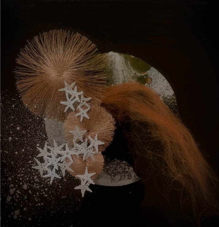 'Spes Maris' series XIV