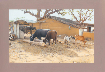 CATTLE