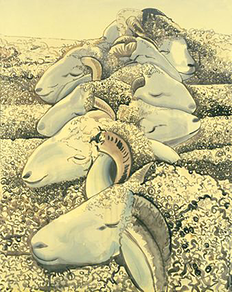 SHEEP