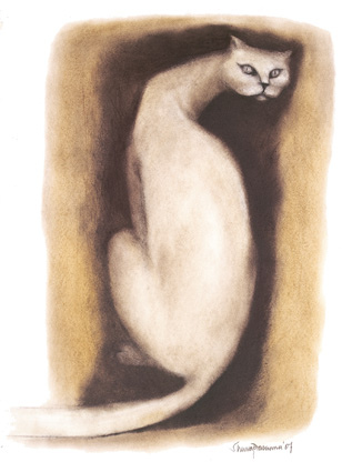 The Cat