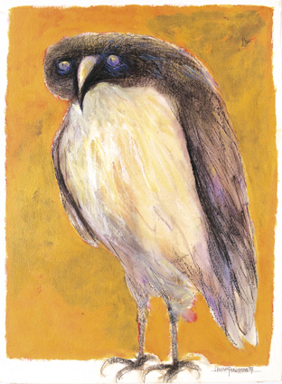 The Owl