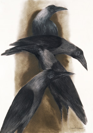 The Crows