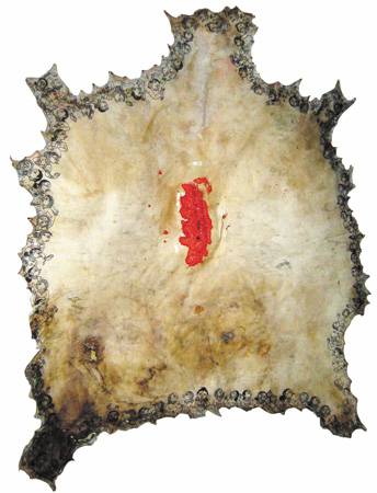 Sacrificial Wombs I ï¿½ Side I