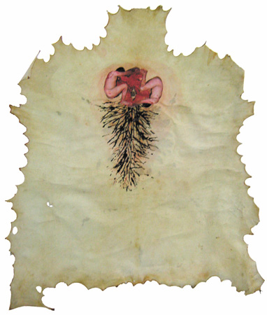 Sacrificial Wombs II ï¿½ Side I