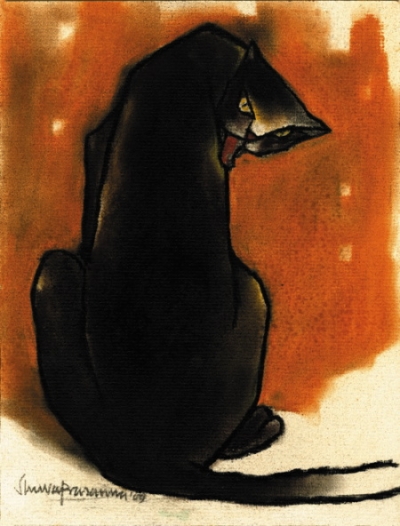 Cat 3