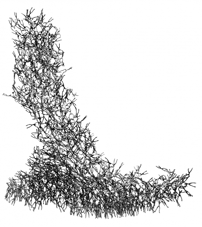 Descending Figures as Ascending Structure