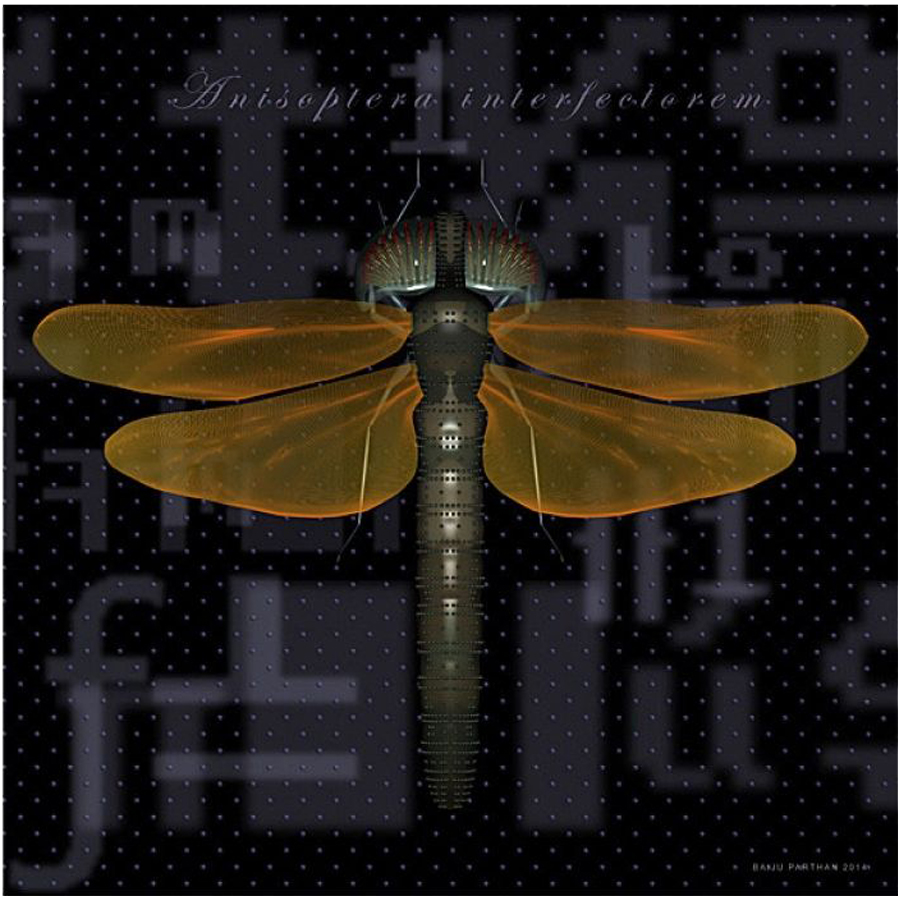 PROCESS-D (Anisoptera Interfectorem)