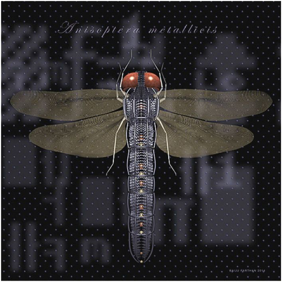 PROCESS-D (Anisoptera Matallicis)