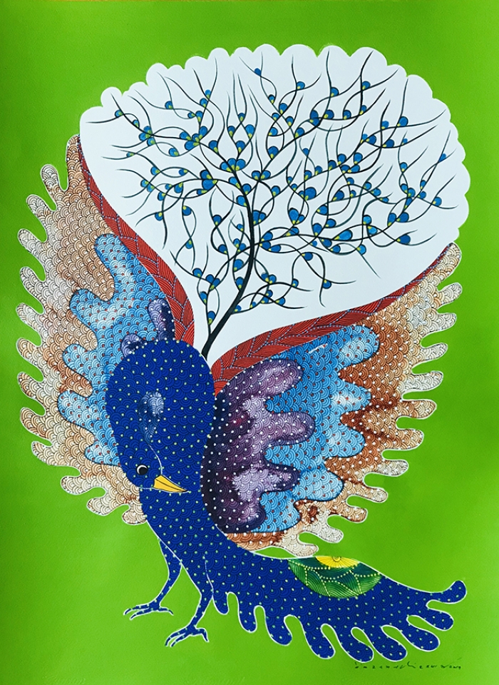 Dancing Peacock 