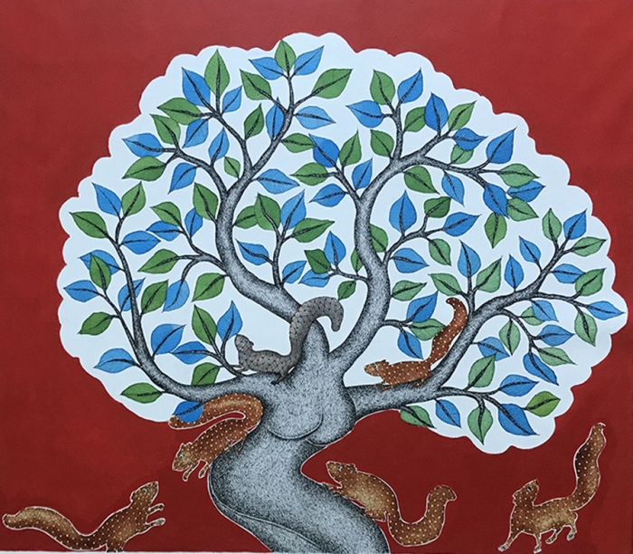Pakari Tree