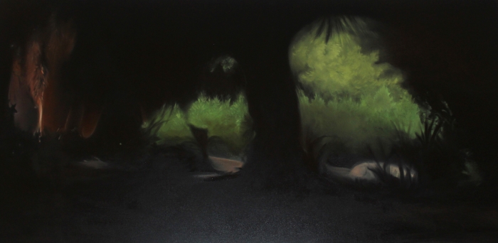 'Nox Umbra' Night Shadows from the series 'Moth'