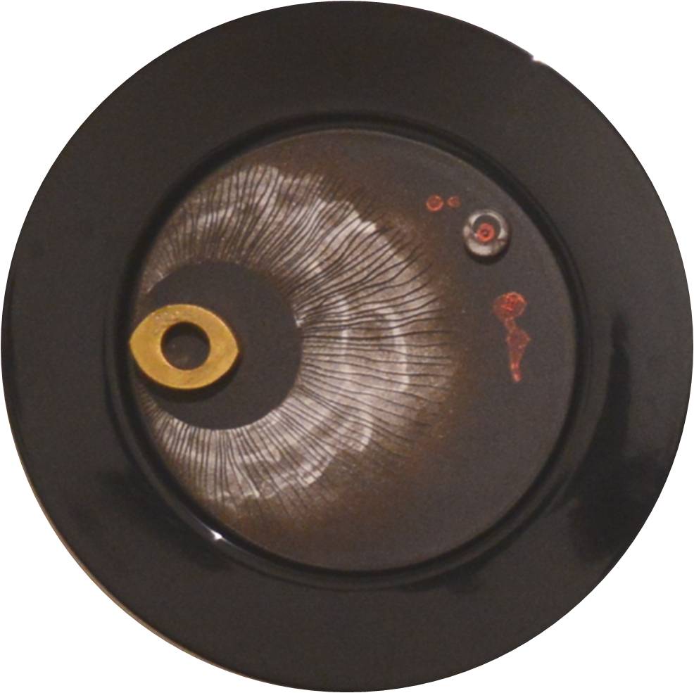 Circle with Many centers and no Circumference, Framed Disc Black 1