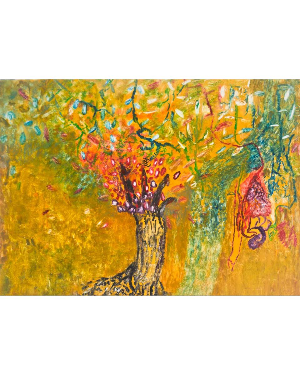 Garden, Pomegranate