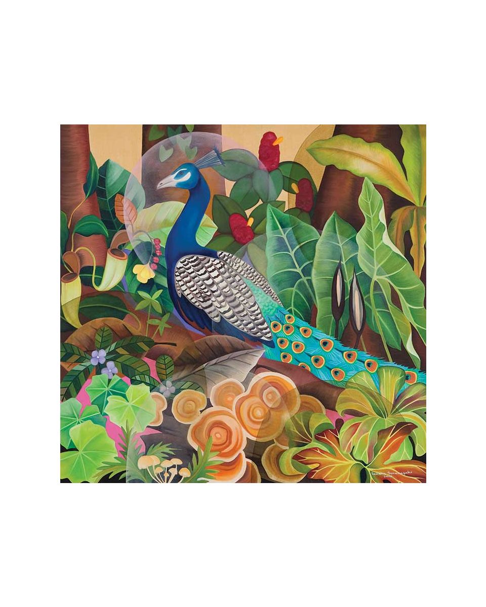 Peacock