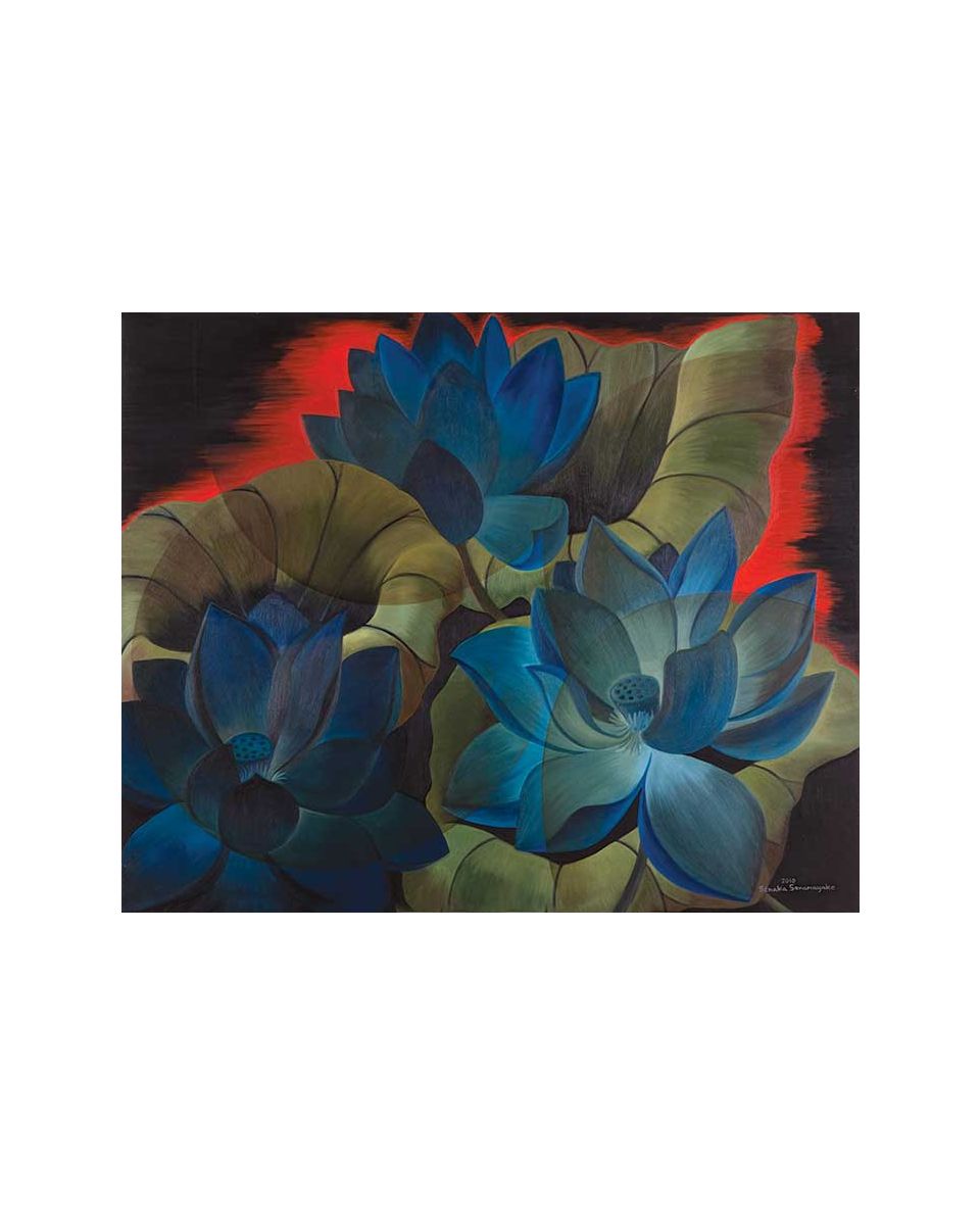 Night Bloom