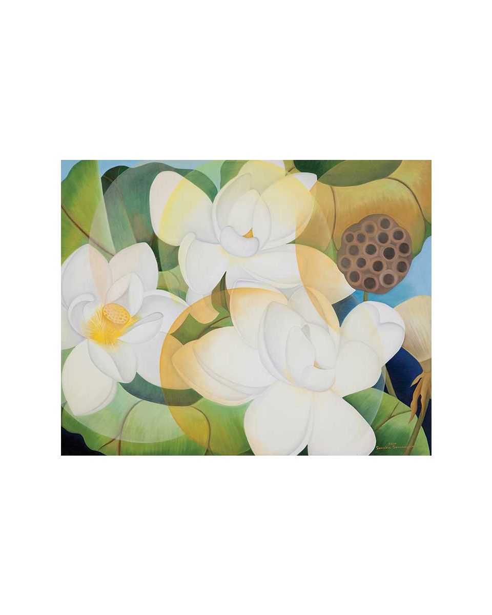 White Lotus 
