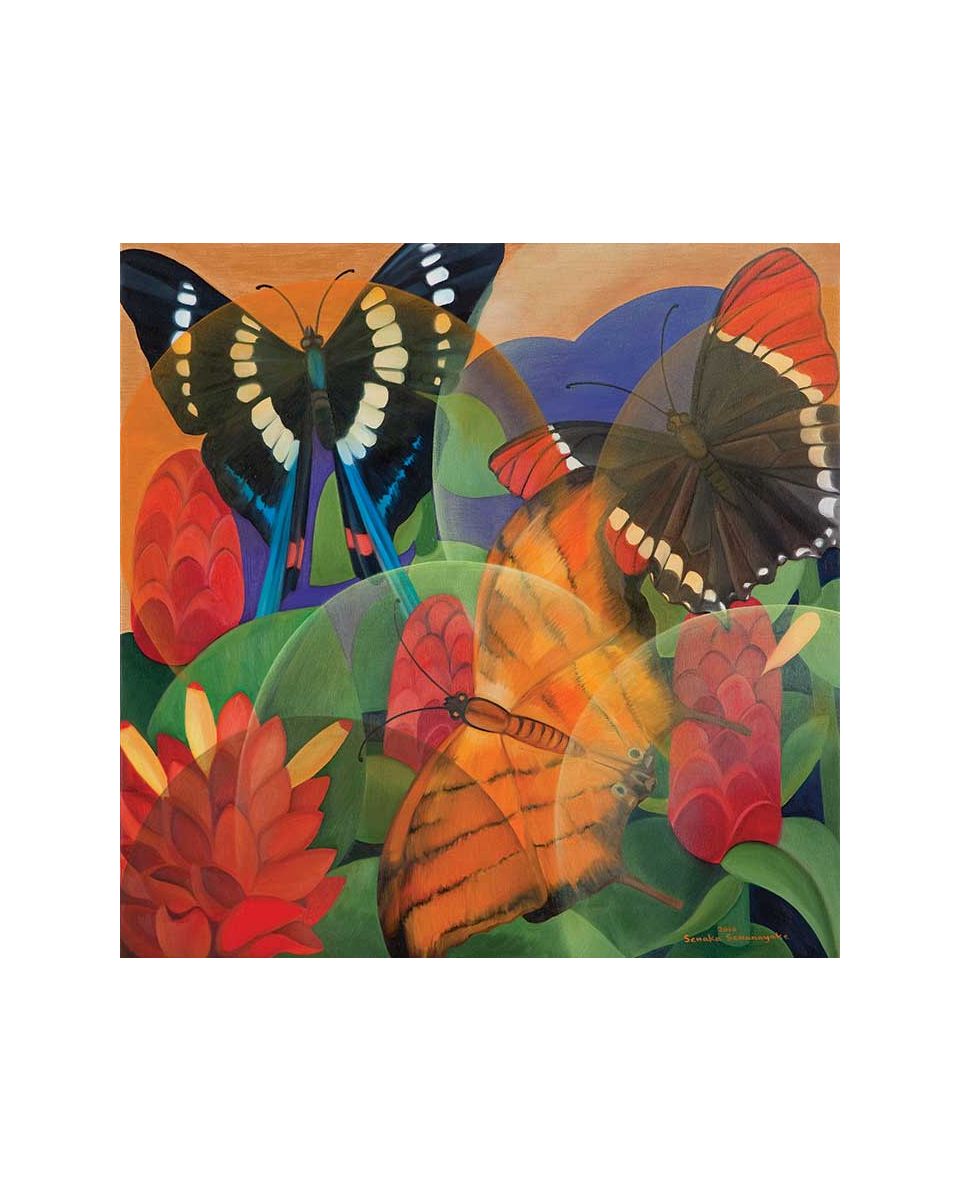 Butterflies