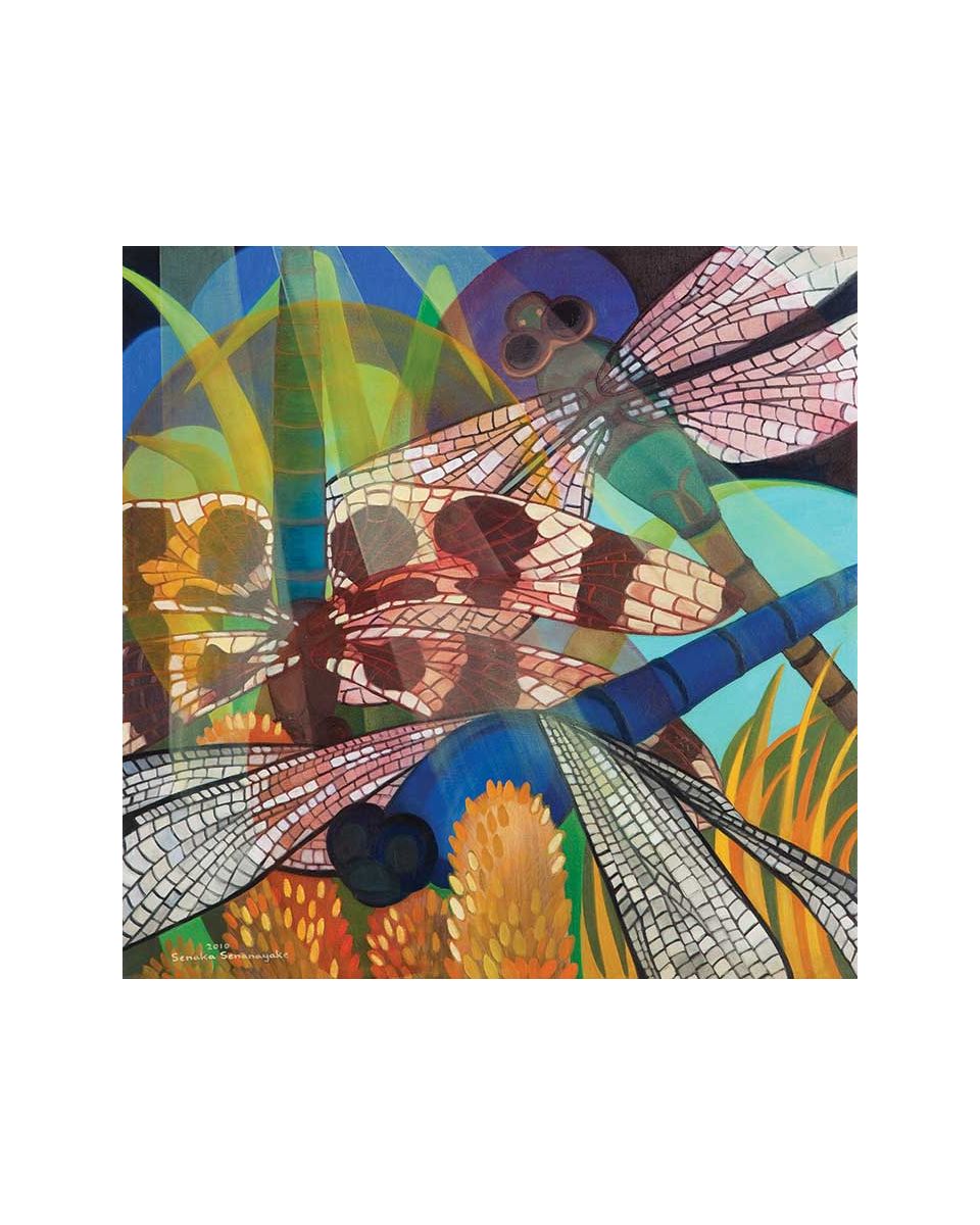 Dragon Flies