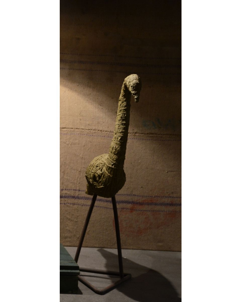 Kumartuli Peacock 2