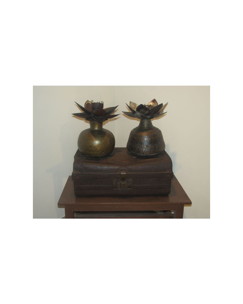 Lotus set