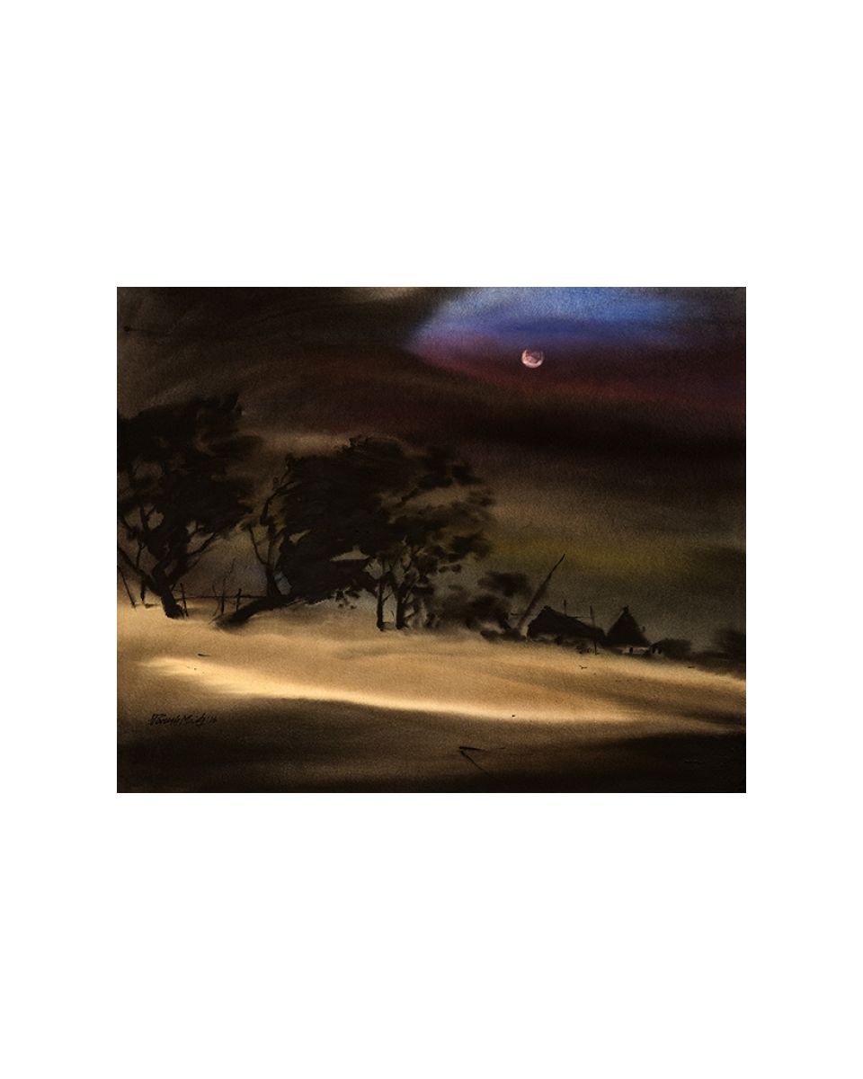 Desert Safari