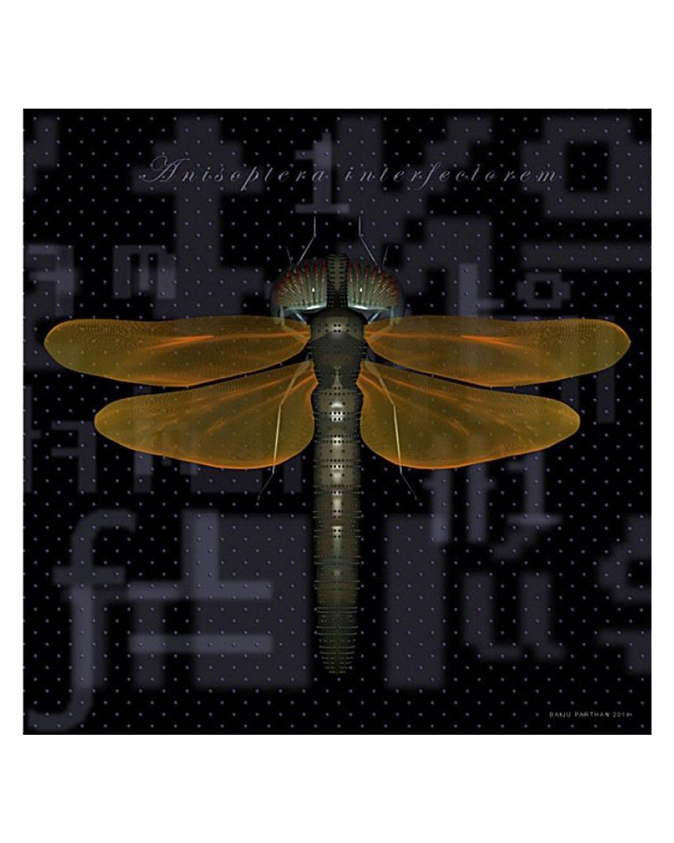 PROCESS-D (Anisoptera Interfectorem)