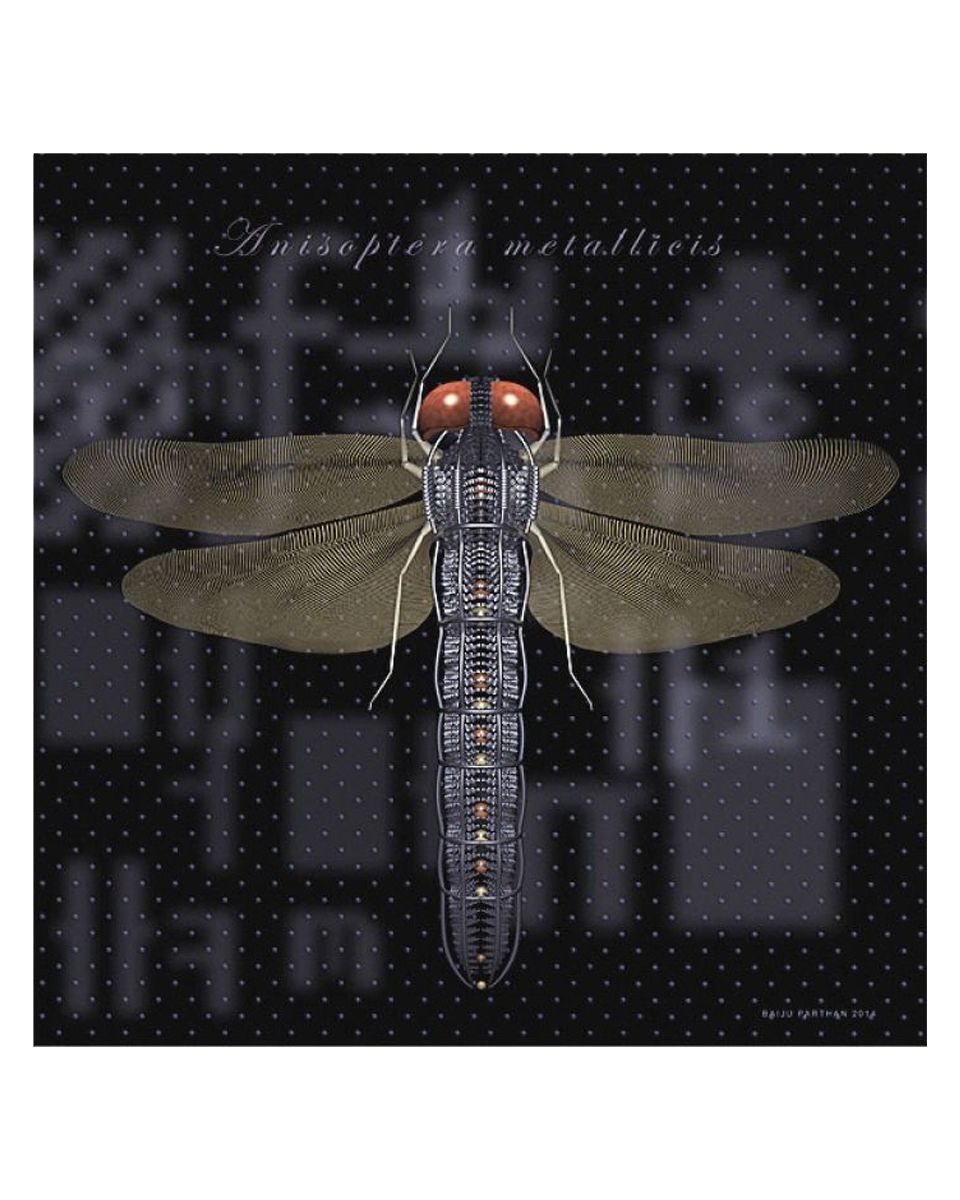 PROCESS-D (Anisoptera Matallicis)