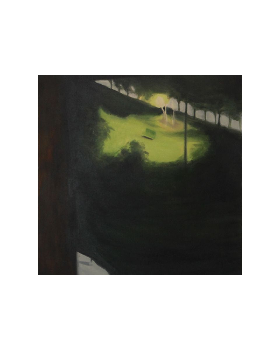 'Nox Umbra' Night Shadows from the series 'Moth'