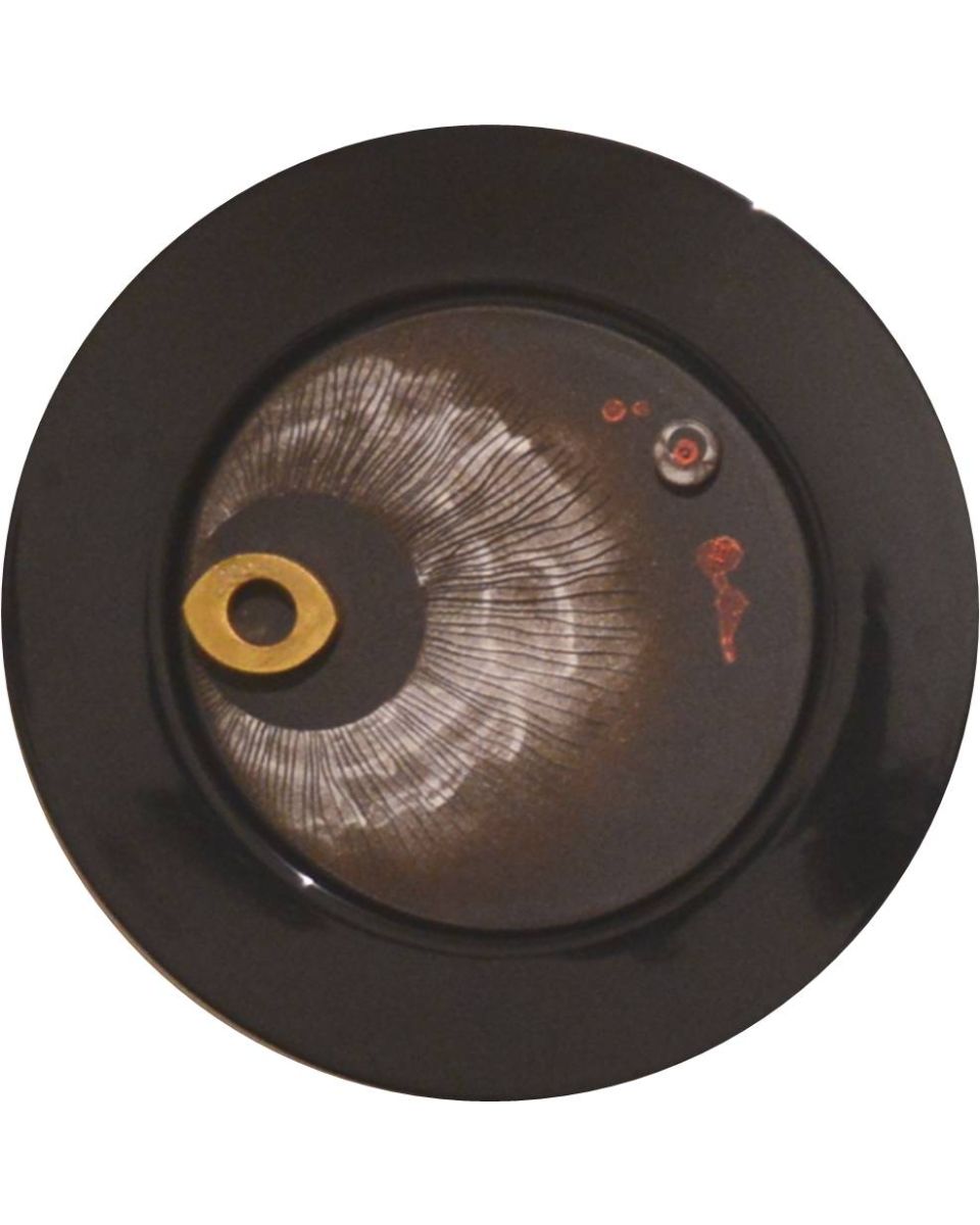 Circle with Many centers and no Circumference, Framed Disc Black 1