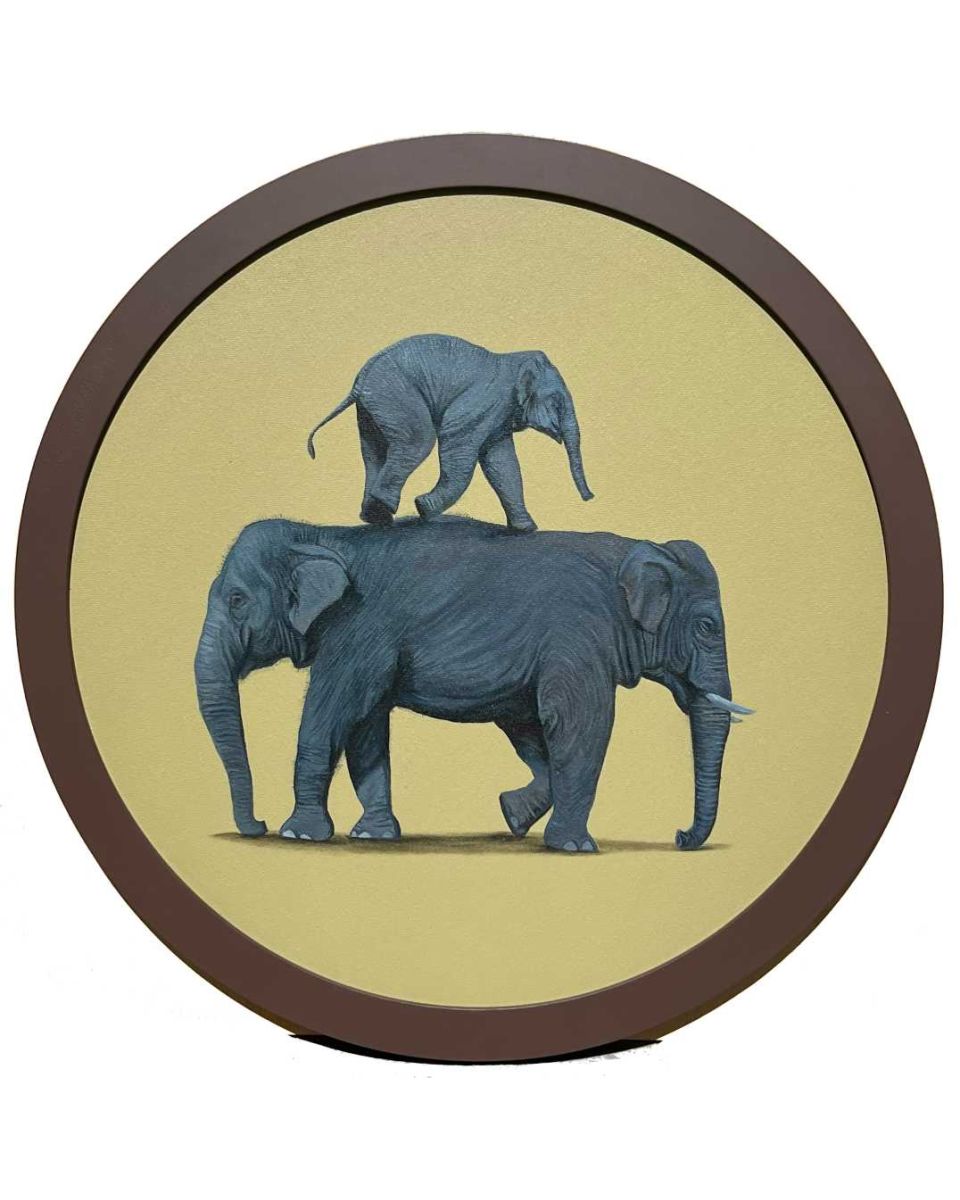 Elephant Series