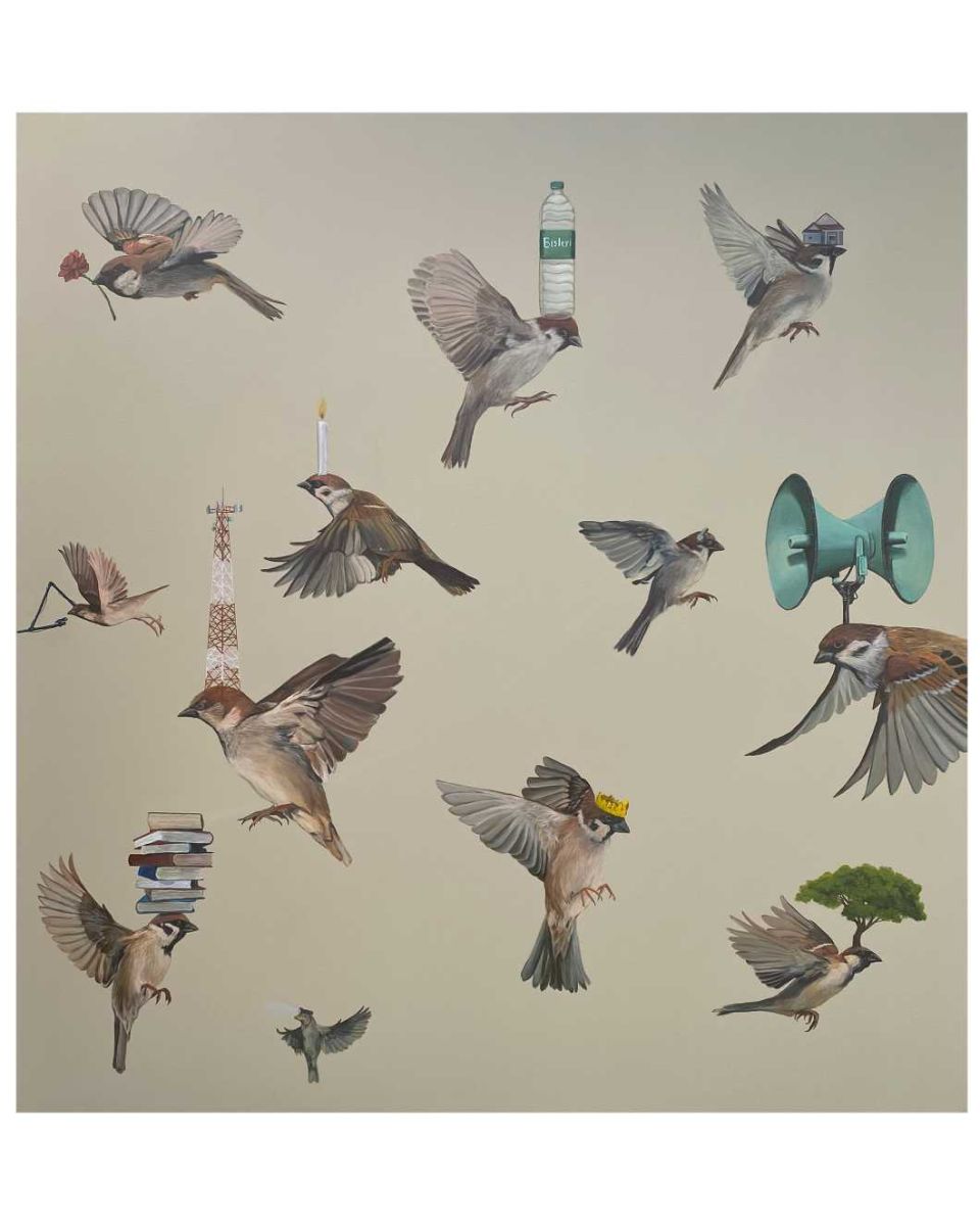Sparrow Series