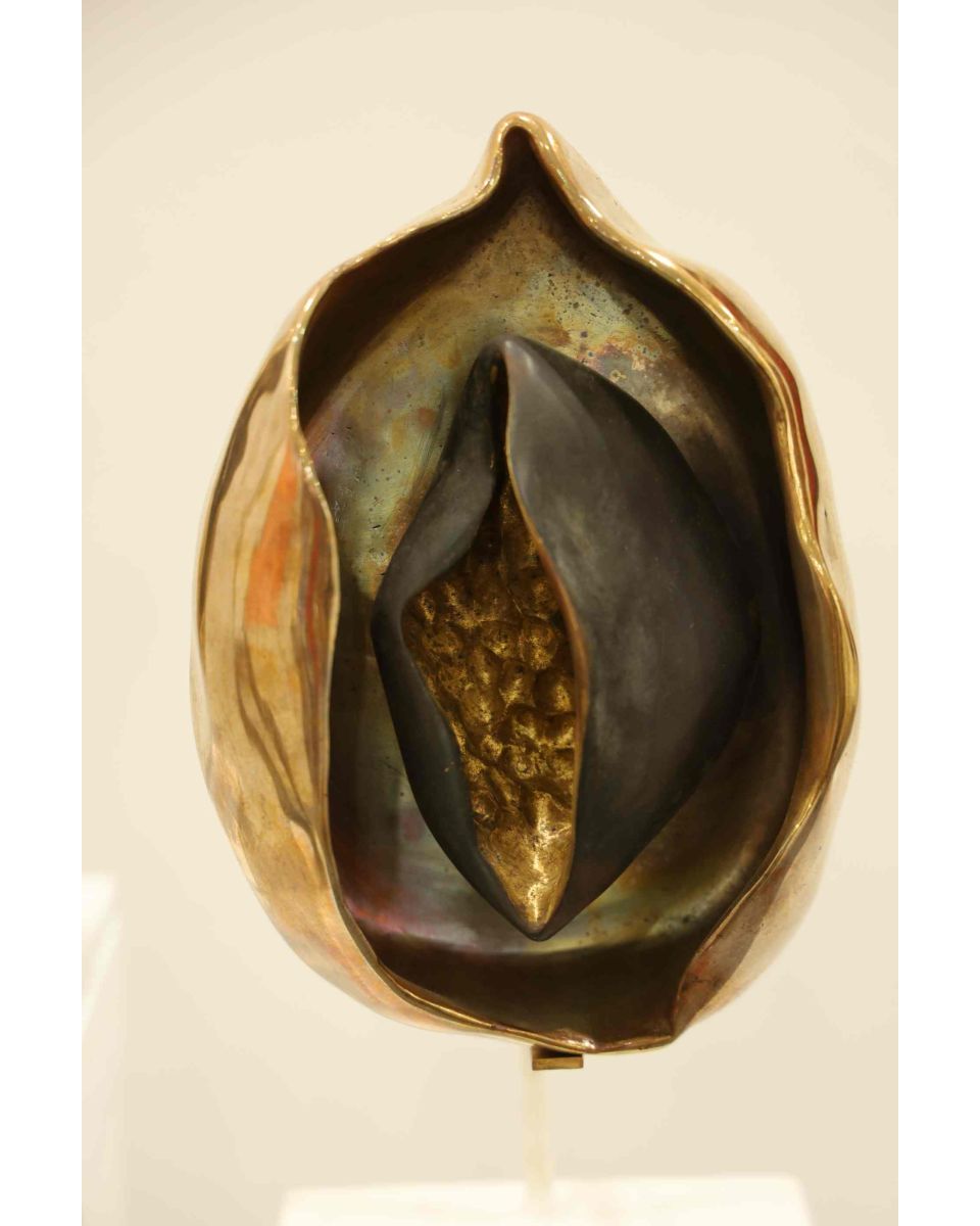 We are of Nature/ SeedWomb