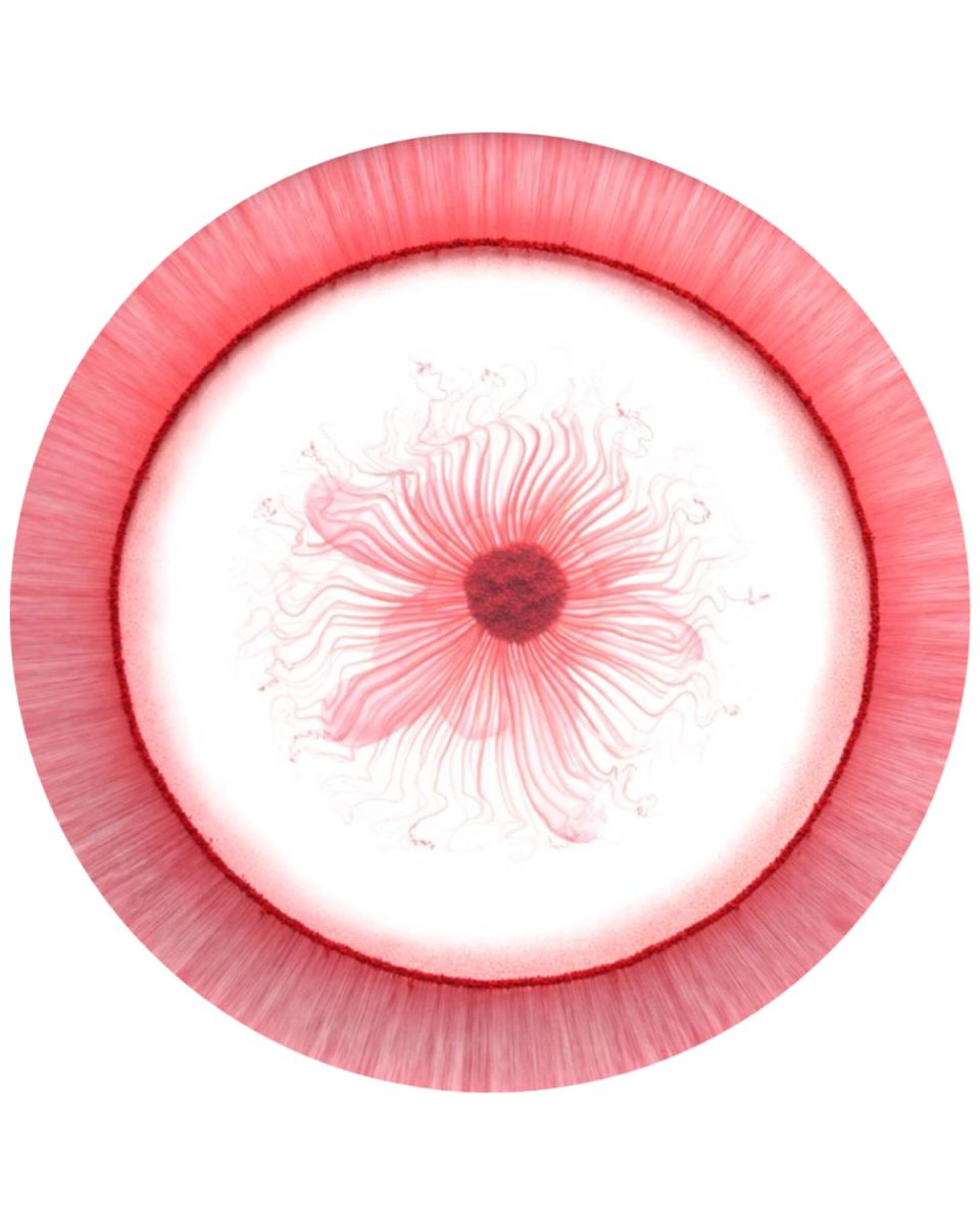 Blooming from within