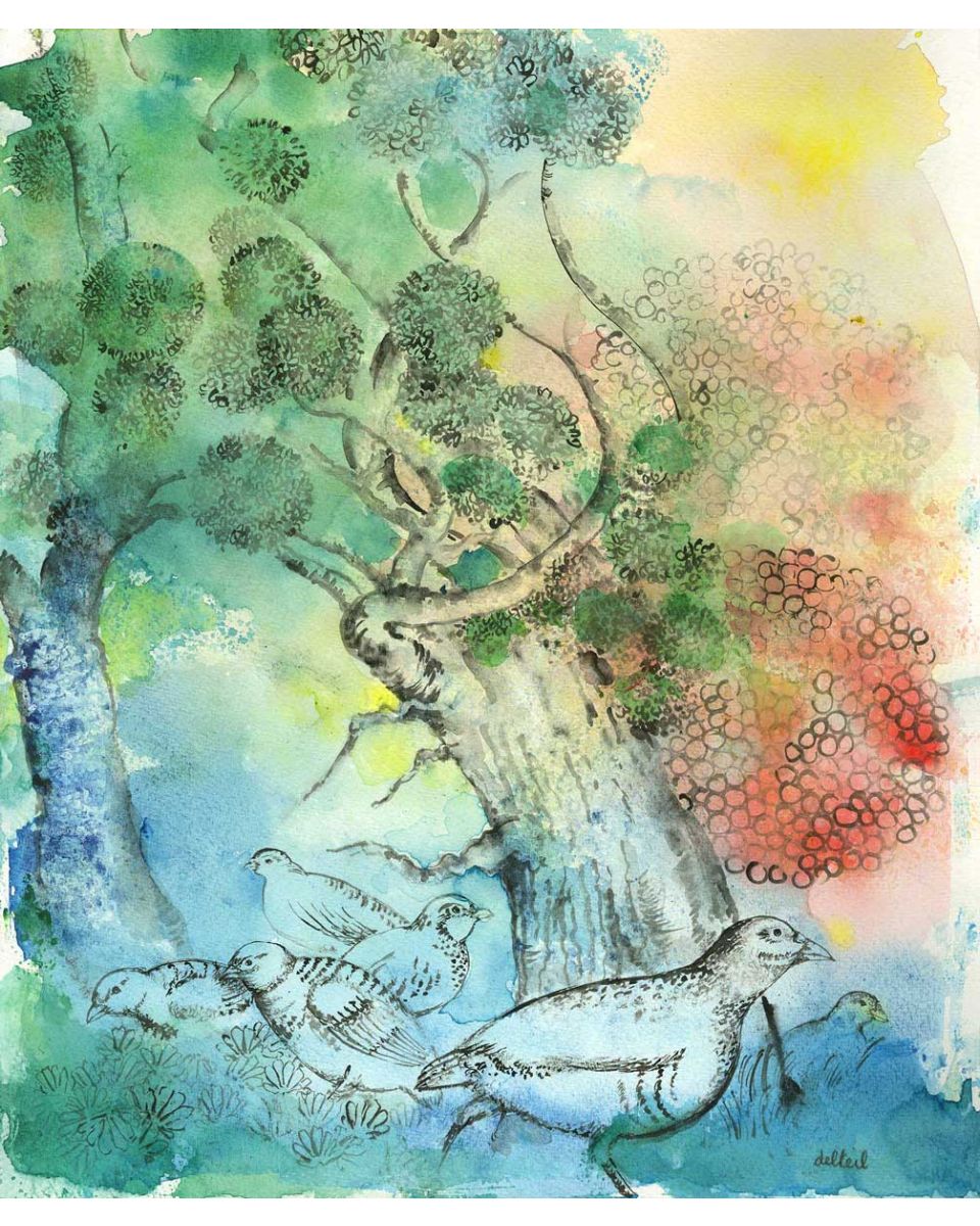 In the Forest