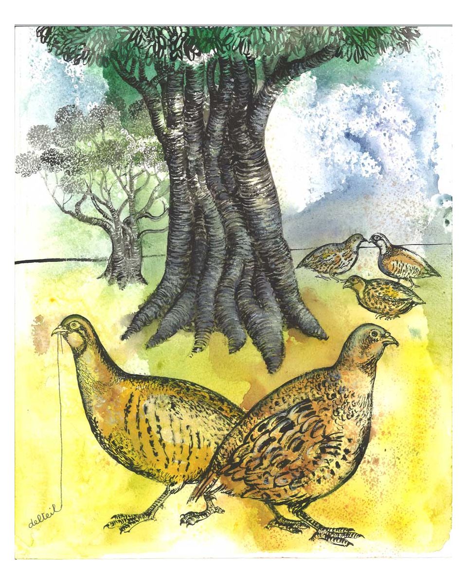 The Partridges