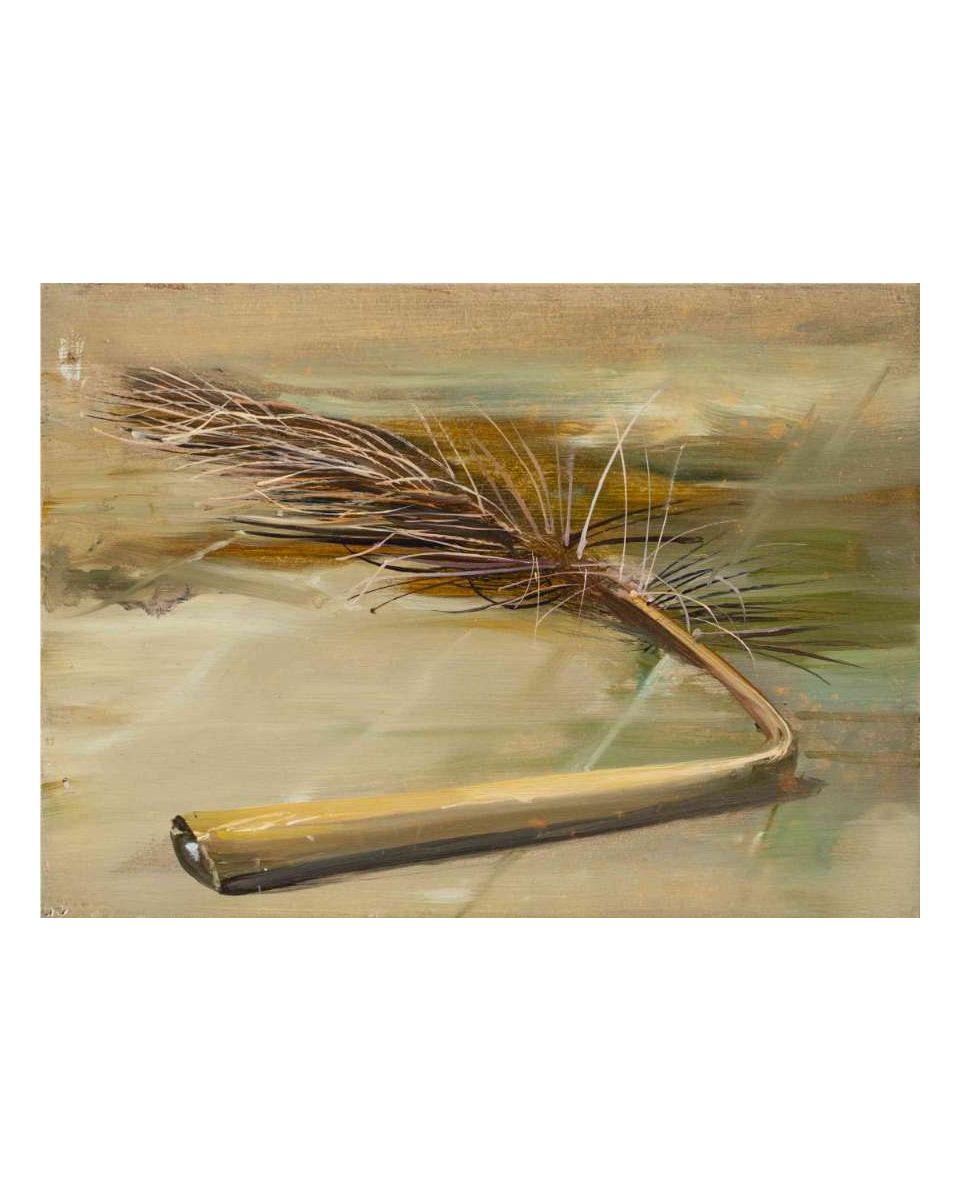 Palm Leaf