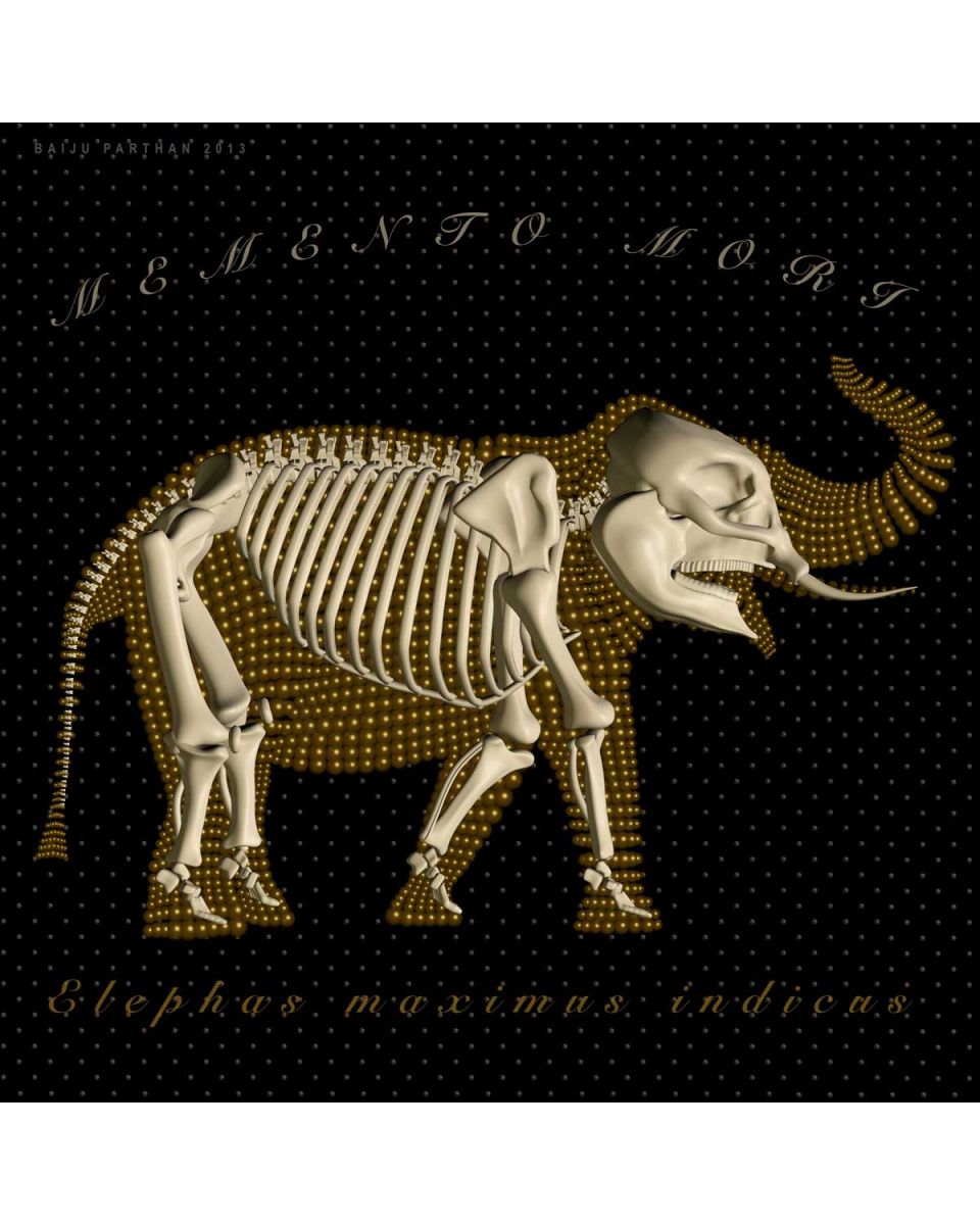 Golden Tusker (Process E)