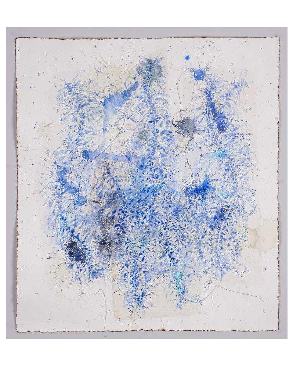 Lichens II