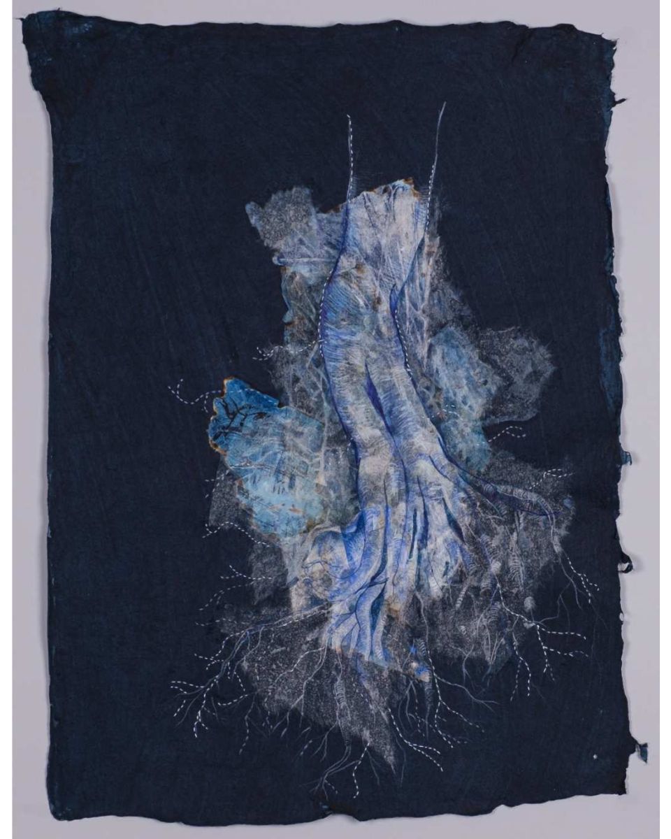 Roots of a relationship II