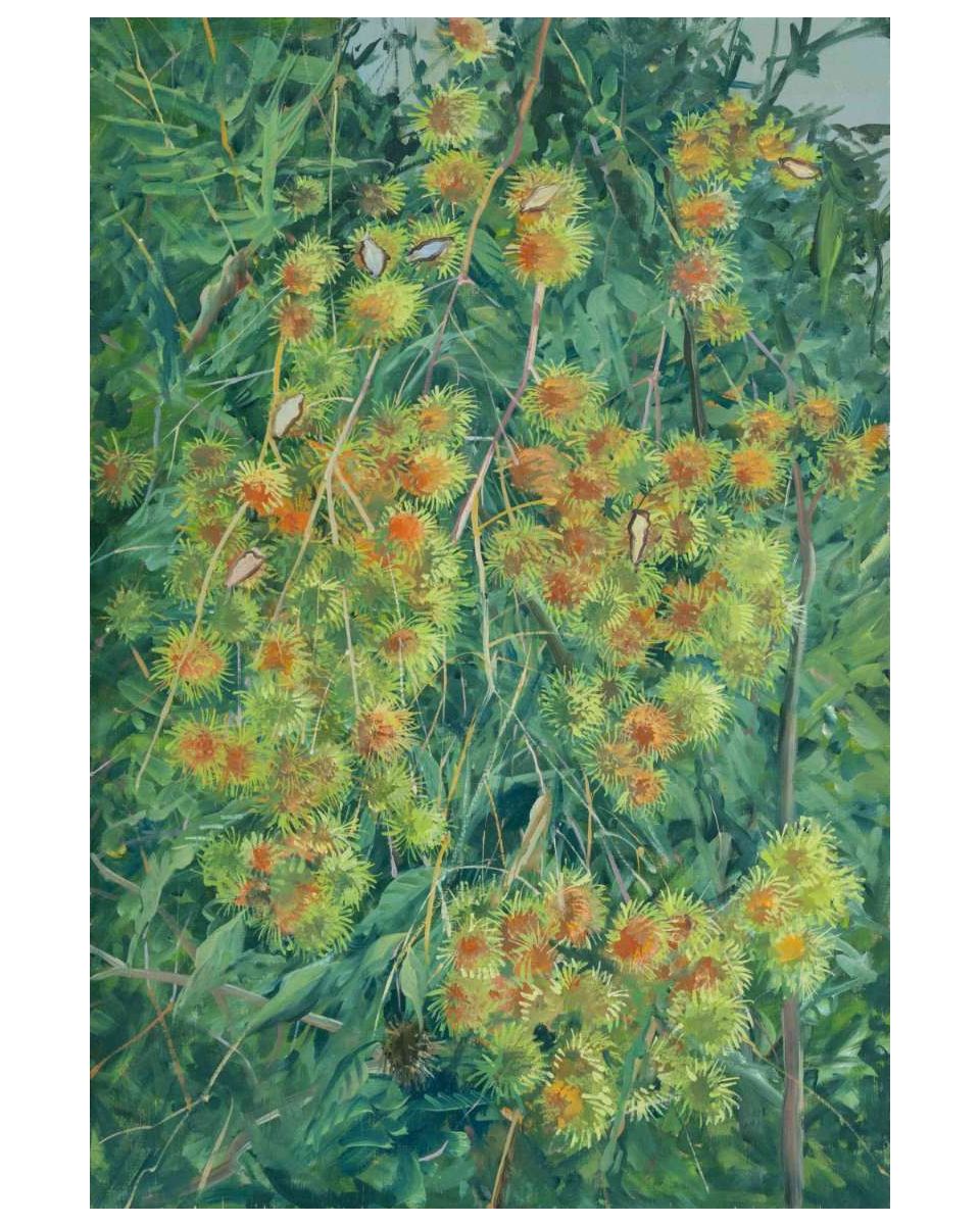 Rambutan Flowers
