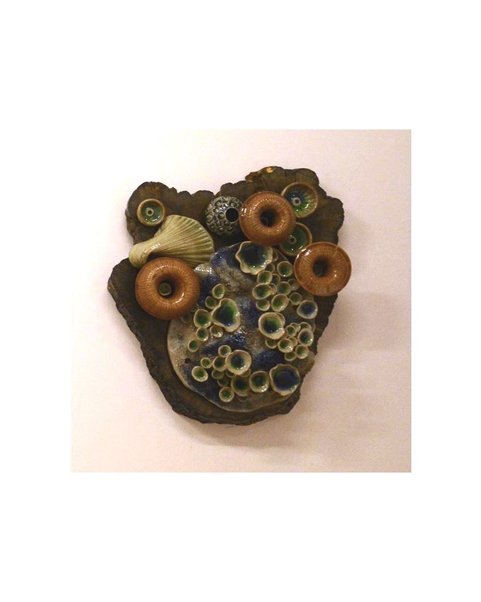 Reef 3