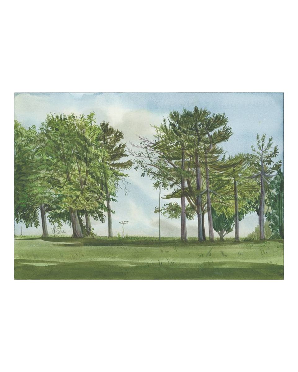 Finsbury Park-3, London