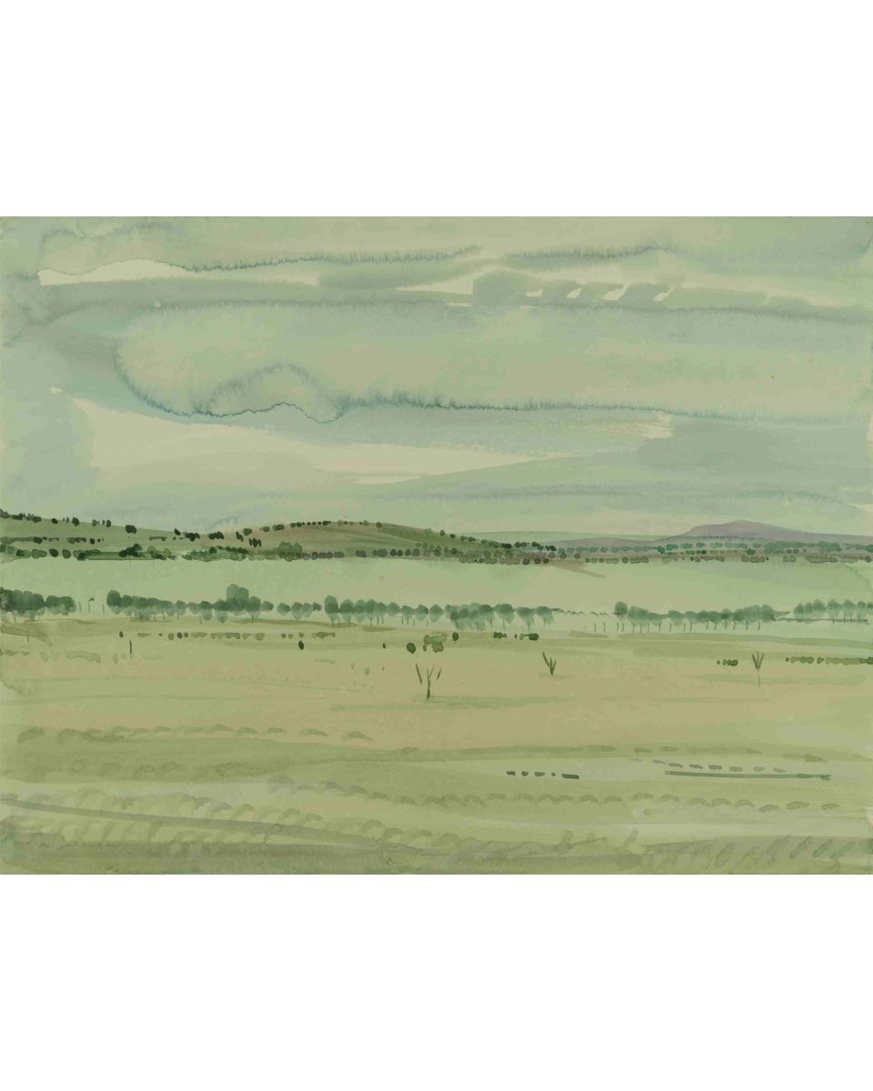 Masai Mara National Park, Kenya