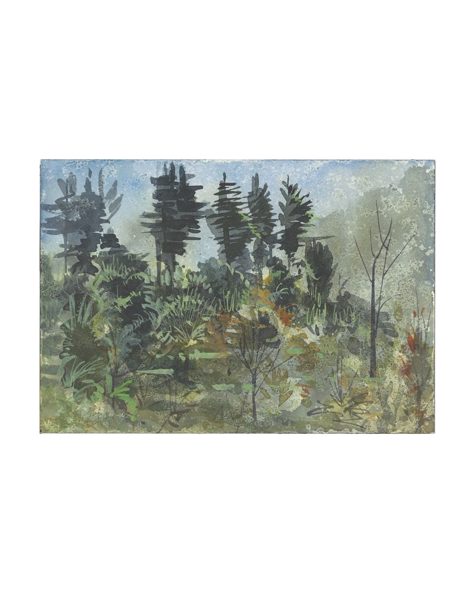 Sarahan Himachal Pradesh