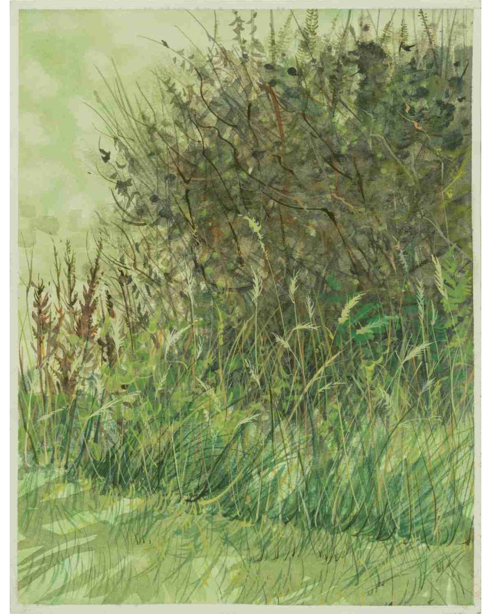 The Breeze, Isle of Skye