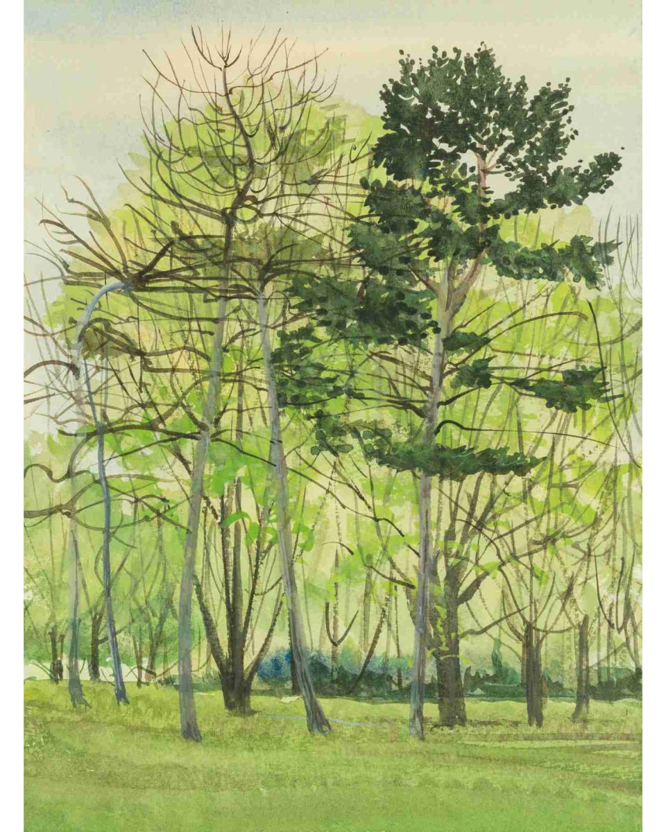 Trees, Finsbury Park, London