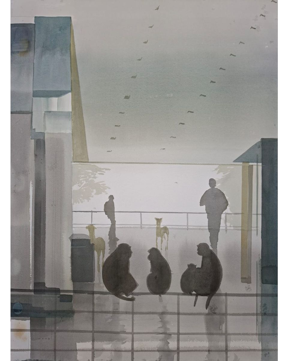 Winter Morning in New Delhi