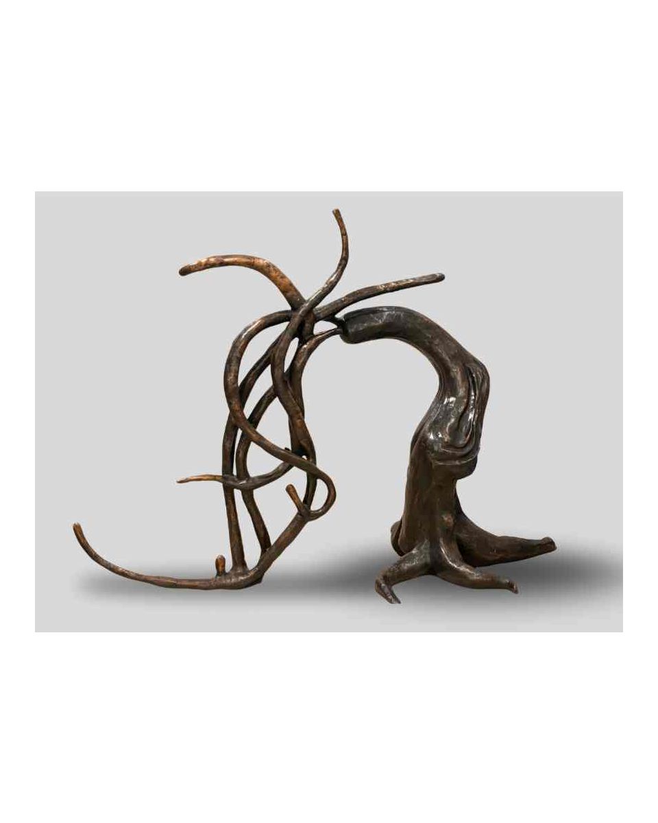 Intention meets Chance