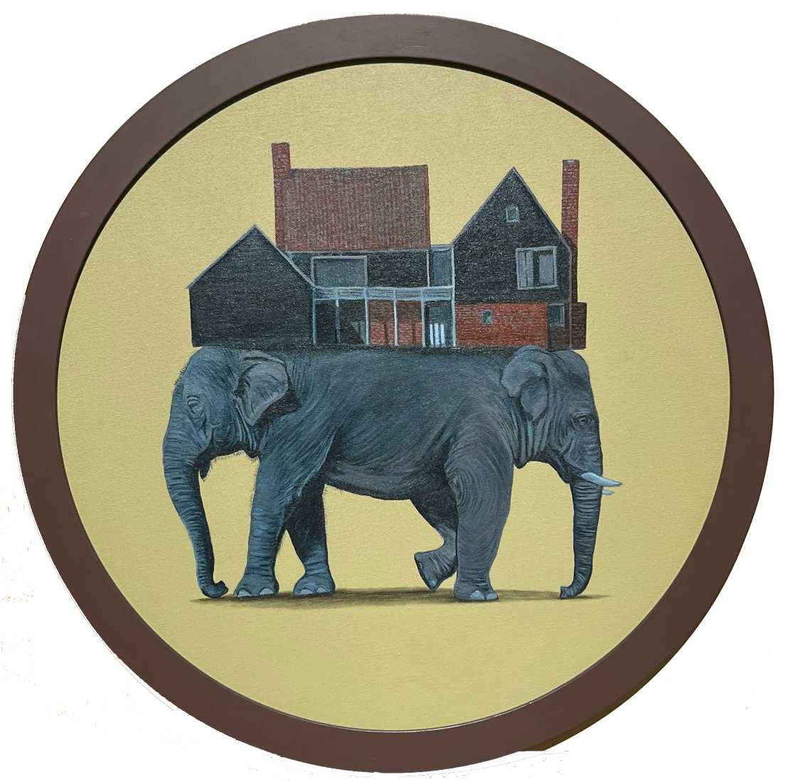 Elephant Series